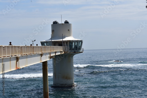 かつうら海中公園