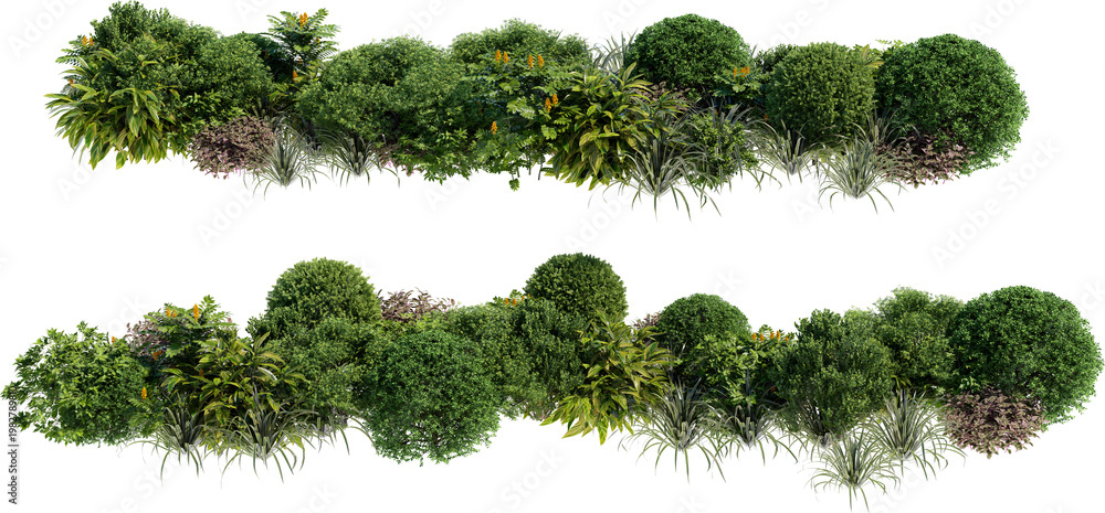 Obraz premium Shrubs and flower on a transparent background
