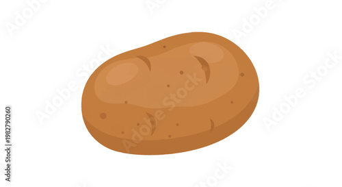 Single Potato Illustration Isolated on White Background