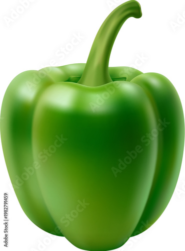 Realistic ripe raw green bell pepper vegetable with shiny smooth surface and curved stem. Whole sweet pepper or paprika, isolated 3d vector fresh natural ingredient with crisp texture and vibrant skin