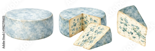 A watercolor collection of blue cheese featuring whole wheels cut wheels and wedges with blue marbling isolated on a transparent background