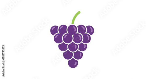 Fresh Purple Grapes Bunch Isolated on White Background, Healthy Food