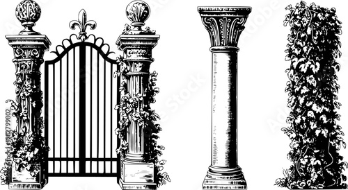 Ornate gate pillars, classical column, and vine-covered pillar white background