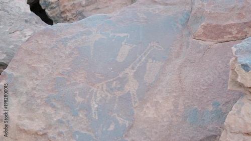 a tilt up clip of rock carvings of a giraffe and other symbols at twyfelfontein in namibia, africa