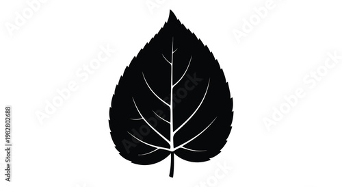 A striking black leaf shape against a white background a bold silhouette