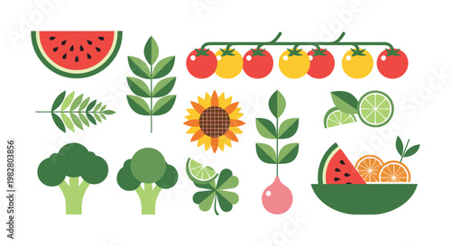Fresh Fruits and Vegetables Vector Set Featuring Watermelon, Tomatoes, Broccoli, and Lime for Healthy Eating, Organic, and Natural Food Designs