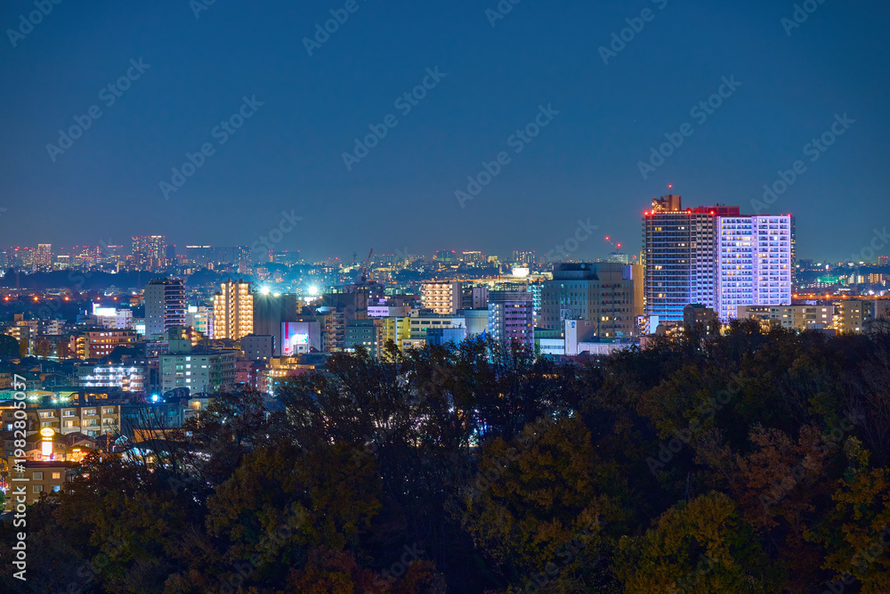 Naklejka premium 神奈川県川崎市多摩区登戸方面(川崎市多摩区役所,向ヶ丘遊園タワマンなど)の夜景