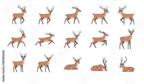 Simple deer vector set with standing walking running and grazing variations