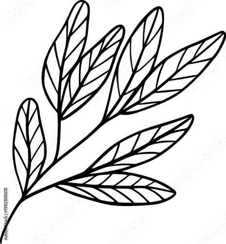 Hand Drawn Leaf Outline Botanical Illustration
