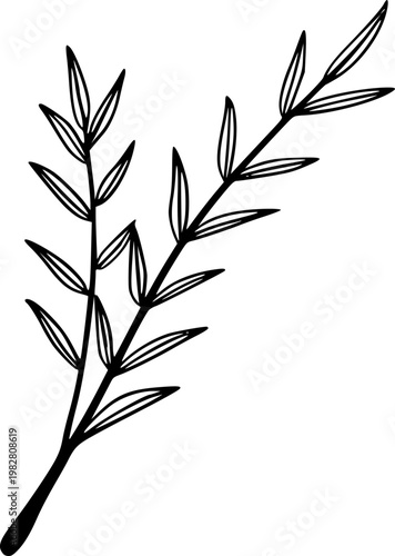 Hand Drawn Leaf Outline Botanical Illustration
