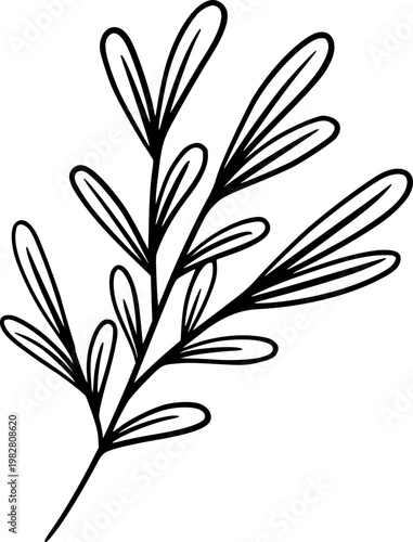Hand Drawn Leaf Outline Botanical Illustration