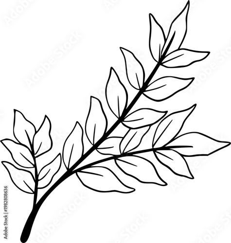 Hand Drawn Leaf Outline Botanical Illustration
