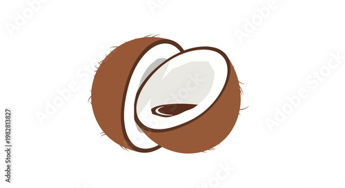 Fresh tropical coconut split in halves illustration