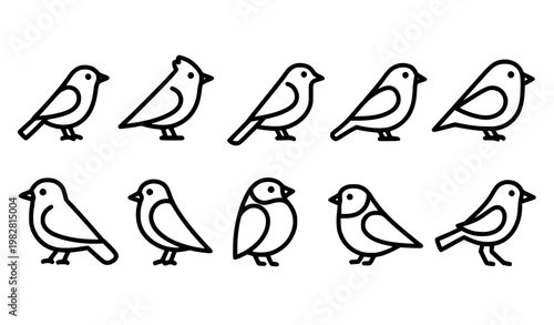 Bird icon doodle set vector with hand drawn birds in black and white minimal line style