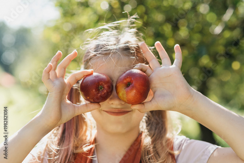 Child picking apples on farm in autumn. Little girl playing in tree orchard. Healthy nutrition. Cute little girl eating red delicious fruit. Harvest Concept. Apple picking.