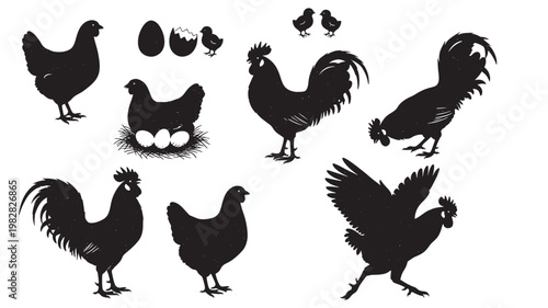 Chickens silhouette set with black barnyard birds, eggs, and nest highlights in simple vector style featuring rooster, hen, chicks with bird icons