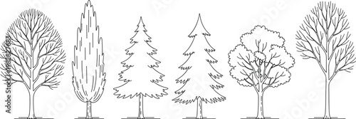 Tree line art set various forest trees including pine and deciduous outline botanical vector illustration collection