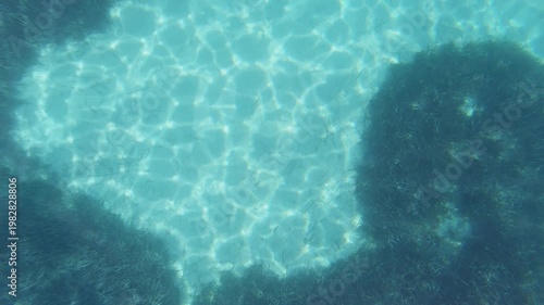 Underwater scene. Dark blue sea surface with rays of light