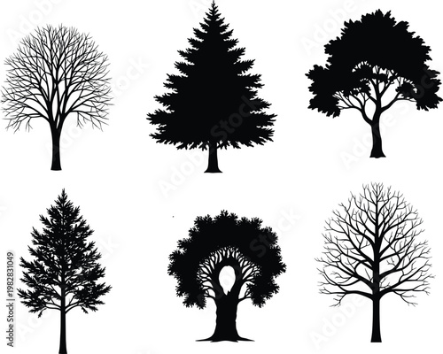 Collection of detailed tree silhouettes including deciduous and evergreen varieties isolated on white background for nature design and illustration use