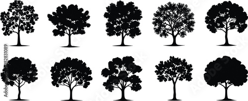Collection of diverse tree silhouettes, botanical illustration set showing different canopy shapes, foliage outlines, and natural forms
