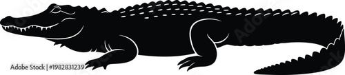 Crocodile silhouette vector illustration, wild reptile animal design, detailed alligator icon isolated black shape wildlife symbol on white background