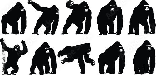 Gorilla silhouettes vector set featuring different poses of strong primate animals, wildlife icons isolated for nature, zoo and design use