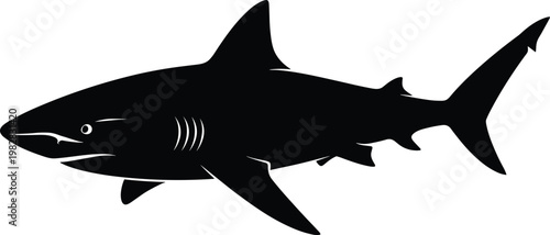 Great white shark silhouette isolated black marine predator fish vector illustration minimal ocean wildlife icon design