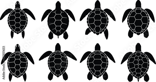 Sea turtle silhouettes vector set featuring multiple top view poses, marine wildlife icons isolated for ocean, nature and conservation design use