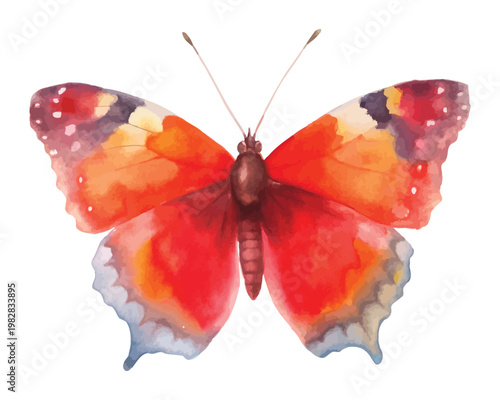 Watercolor Red Admiral Butterfly Illustration, Garden Butterfly Clipart, isolated on white background