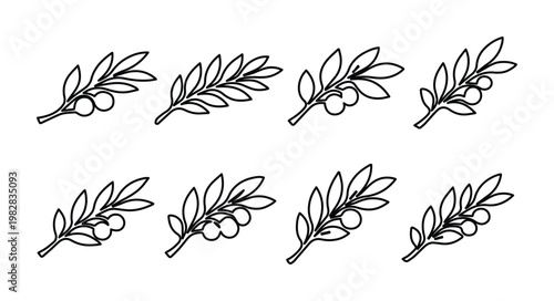 Minimalist olive branch vector set, elegant black and white botanical illustrations, 8 simple olive tree sprig icons for Mediterranean design, food packaging, and natural product branding