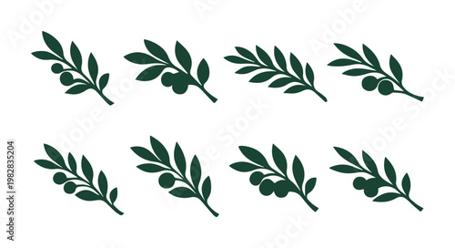Olive branch vector set, eight dark green olive tree sprigs with leaves and fruit, a natural organic food and Mediterranean symbol collection for branding and packaging design