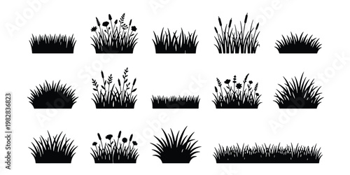 Black grass silhouette collection, 14 vector meadow plant elements, wild field grass and reed tufts, botanical landscape border set