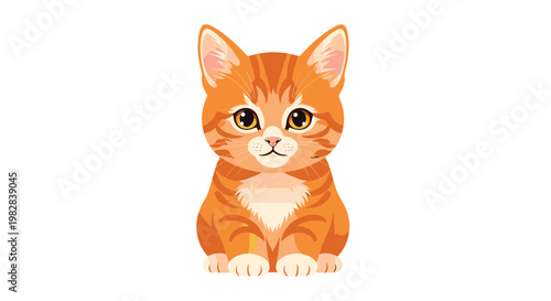 A cute orange tabby kitten with dark brown eyes and white chest fur sits patiently in a centered composition against a pristine white background.