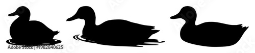 Duck swimming silhouette set with side profile view featuring wildfowl, waterfowl, bird with wildlife and animal