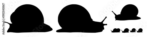 Snail with shell silhouette set with minimalist line art design featuring snail, shell, silhouette with vector and illustration