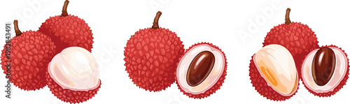 Lychee Fruit with Opened and Whole Varieties Illustration for Food, Tropical Fruits, and Healthy Lifestyle Designs