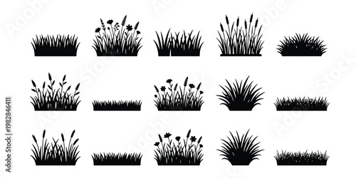 Black grass silhouette vector set, 15 meadow plant and lawn border elements, botanical field weeds and reed tufts for landscape design