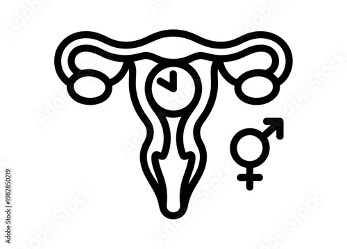 A simple line drawing of a female reproductive system with a clock and gender symbol