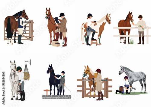 Set of flat vector illustrations depicting various equestrian activities including grooming, feeding, and preparing horses for riding.