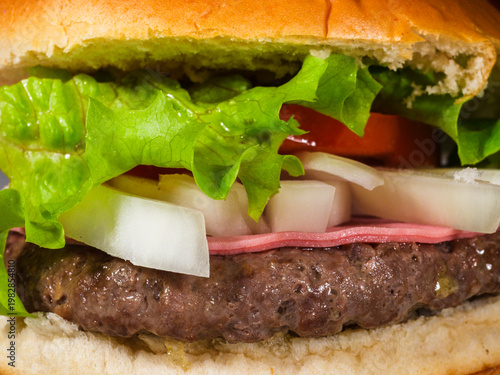 Tasty hamburger in detailed close view