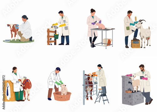 Flat vector illustrations of veterinarians and agricultural scientists performing medical checkups and ear tagging on various livestock like cows, sheep, goats, and pigs.