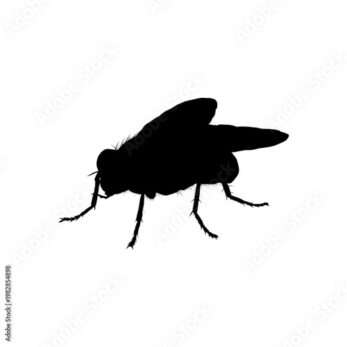 Black silhouette of fly, vector illustration