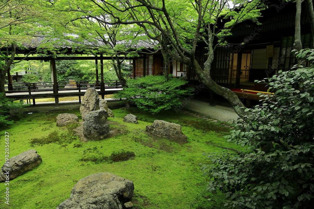 Fototapeta premium 建仁寺にある方丈庭園の潮音庭