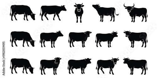 Black cow silhouettes set, 15 cattle vector icons of bulls and heifers, farm animal livestock collection for dairy and meat industry branding