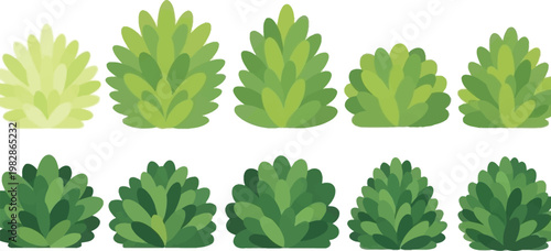 a collection of various green shrubbery and foliage shapes arranged in two rows displaying different textures and tones high quality professional