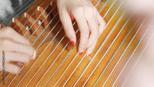 Art, creative and performance with woman expertly musician deeply engaged in playing traditional musical stringed instrument zither or guzheng with plectrum, highlighting artistry, dedicate to music