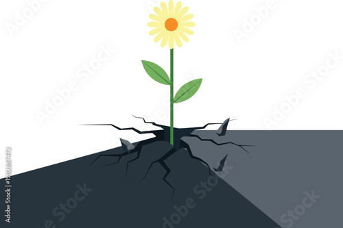 A single yellow daisy bravely pushes through cracked dark earth symbolizing resilience and the power of life overcoming adversity high quality