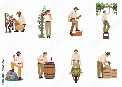 Flat vector illustration collection of male winemakers performing various tasks like harvesting grapes, inspecting vines, tasting wine, and managing vineyard production processes.