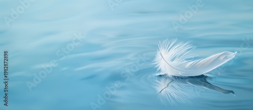 A delicate white feather floats gently on calm blue water, creating a serene and tranquil scene.
