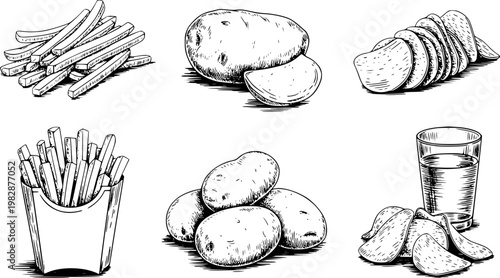 Hand-drawn potato products: whole potatoes, french fries, potato chips, and drink